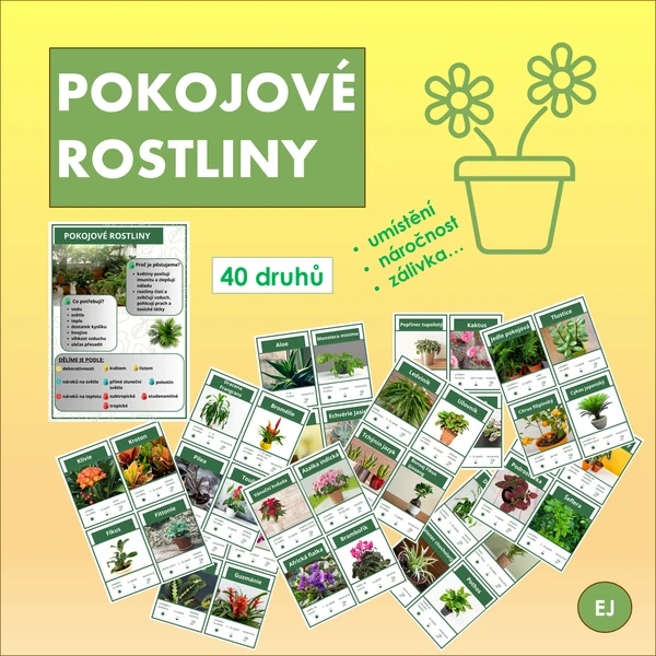 Pokojové rostliny