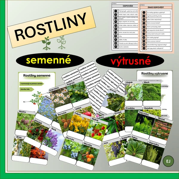 Rostliny - semenné, výtrusné