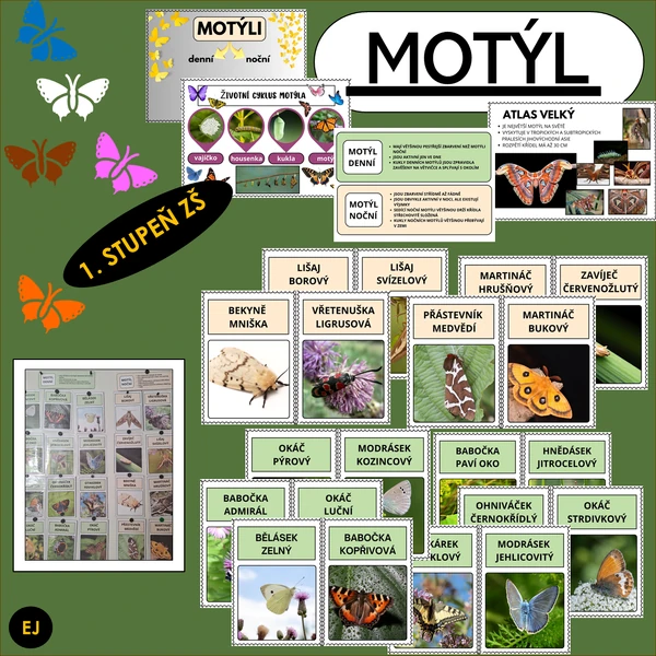 Motýl