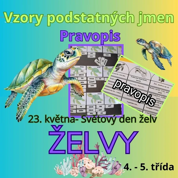 Želvy: Vzory podstatných jmen a pravopis