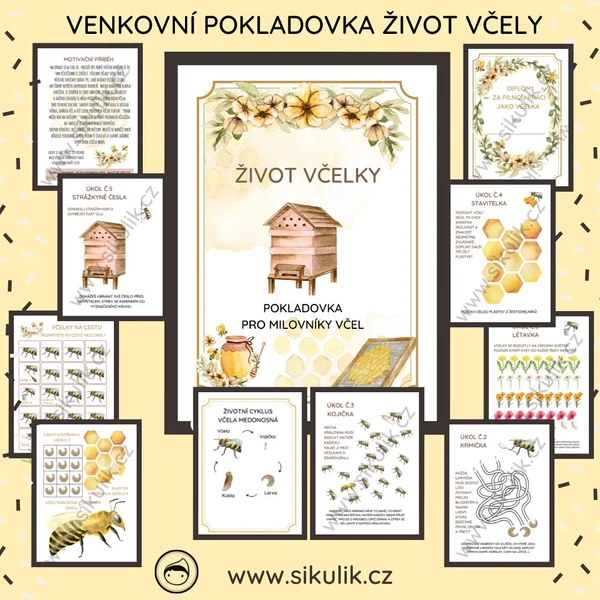POKLADOVKA ŽIVOT VČELY 