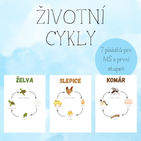 7 ŽIVOTNÍCH CYKLŮ