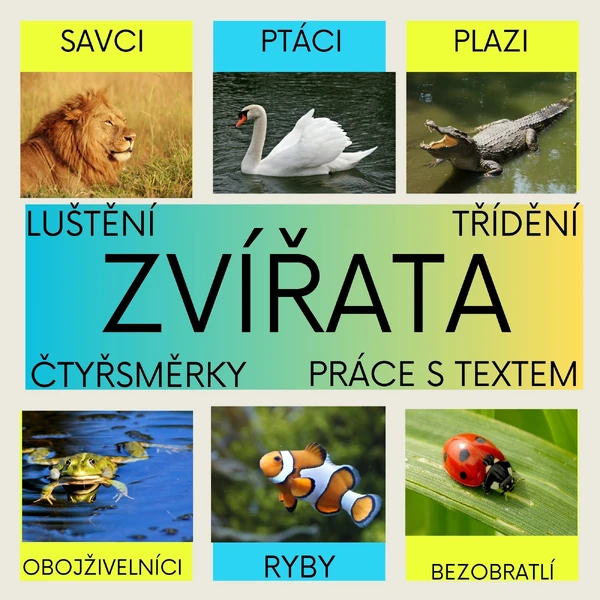 Živočichové 