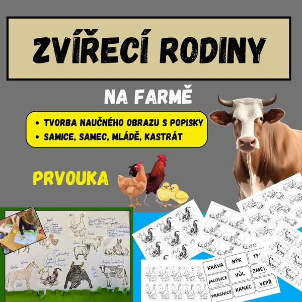 ZVÍŘECÍ RODINY - na farmě - VÝROBA OBRAZU S VÝUKOU