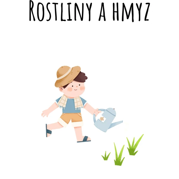 Rostliny a hmyz