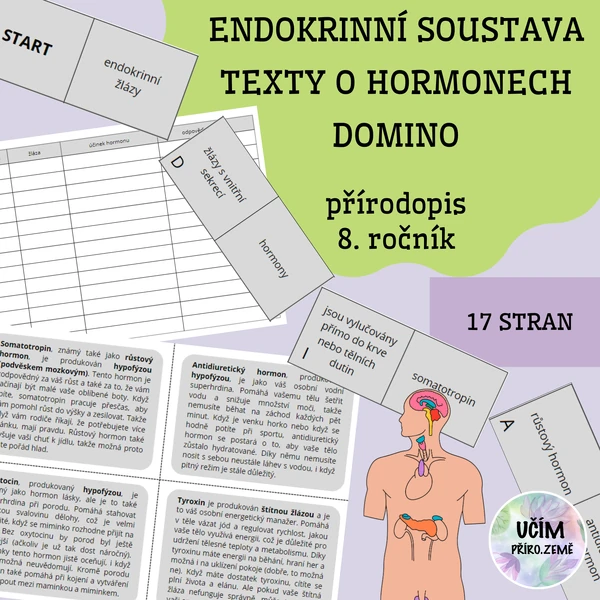 Endokrinní soustava - výukové karty, domino