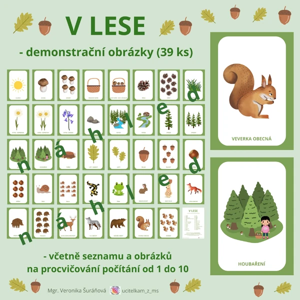 V LESE (39 ks A4) - demonstrační obrázky + počítání od 1 do 10
