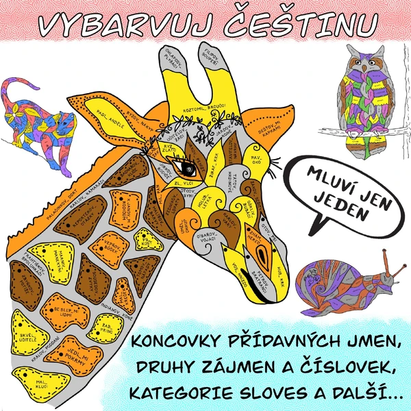 VYBARVUJ ČEŠTINU! - koncovky přídavných jmen, druhy číslovek a zájmen, kategorie sloves atd.
