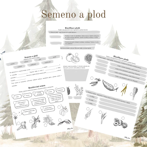 Semeno a plod