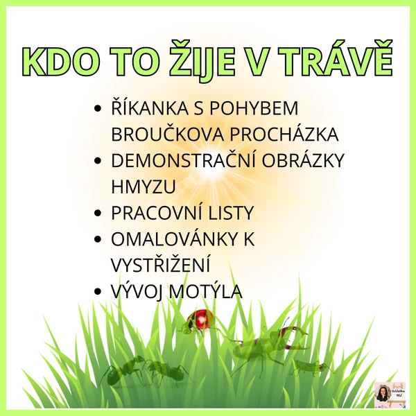 Kdo to žije v trávě