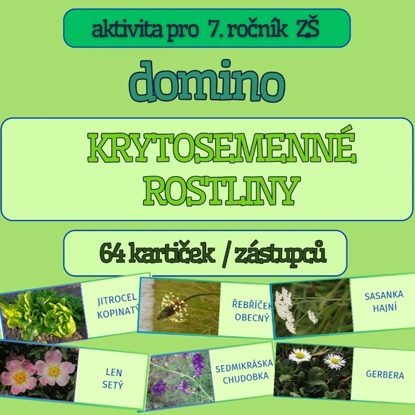 DOMINO POZNÁVÁNÍ KRYTOSEMENNÝCH ROSTLIN