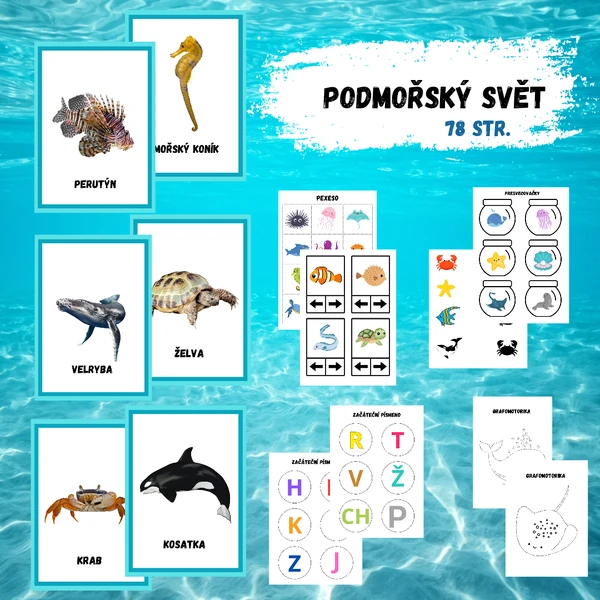Podmořský svět