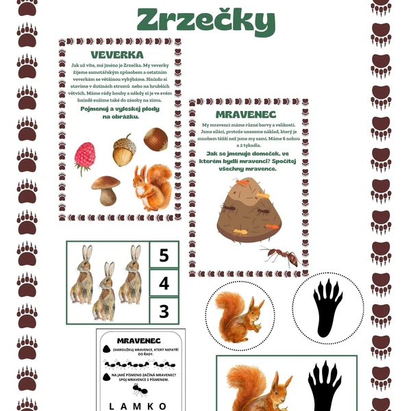 Stezka veverky Zrzečky (lesní zvířátka)