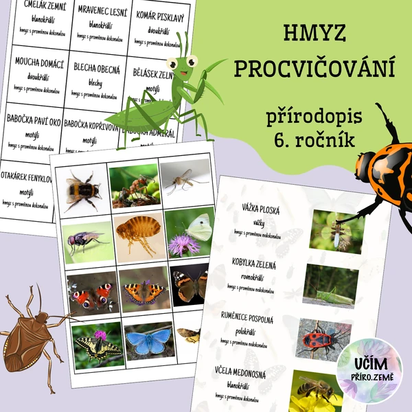 Hmyz - procvičování