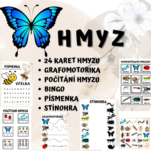 Hmyz