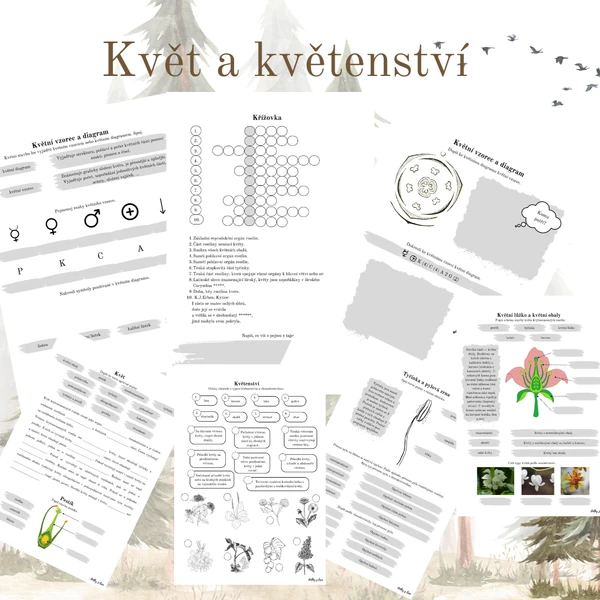 Květ a květenství