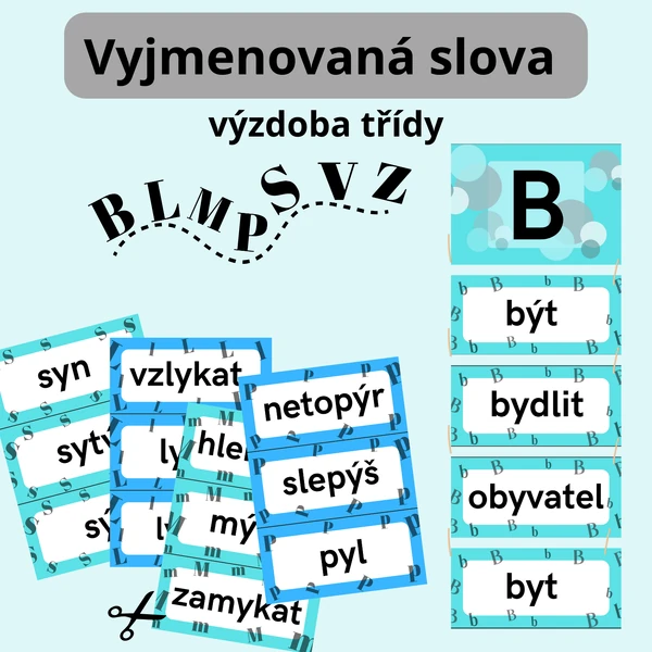 Vyjmenovaná slova
