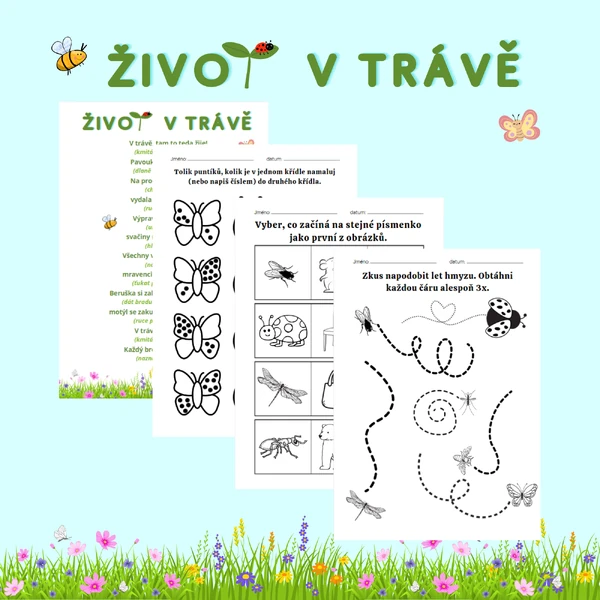Soubor aktivit: Život v trávě - hmyz (básnička s pohybem, pracovní listy, trimino)