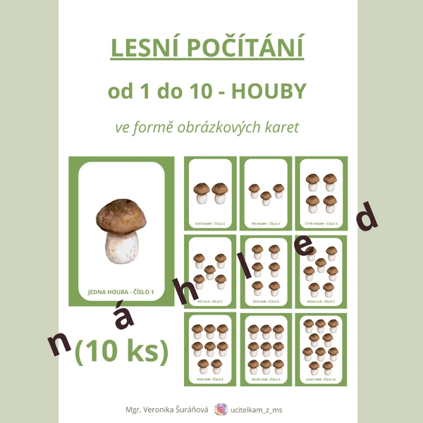 Lesní počítání od 1 do 10 - HOUBY (10 ks)