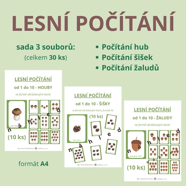 SADA LESNÍHO POČÍTÁNÍ - houby + šišky + žaludy (30 ks, A4)