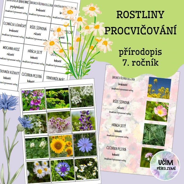 Rostliny - procvičování
