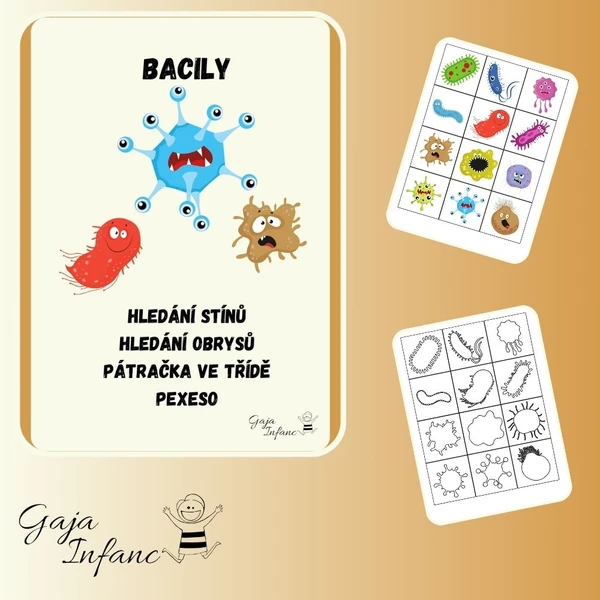 Bacily