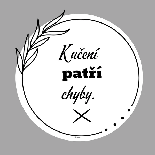 Chyba není nepřítel