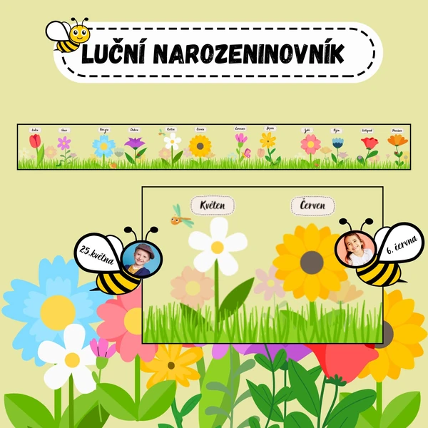 Luční narozeninovník