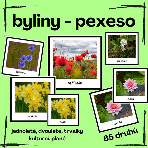 PEXESO: BYLINY (65 druhů, 130 ks pexesa)