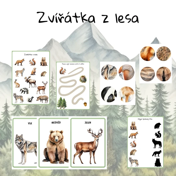 Zvířata v lese 