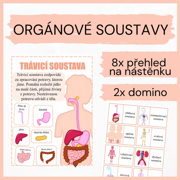 Orgánové soustavy