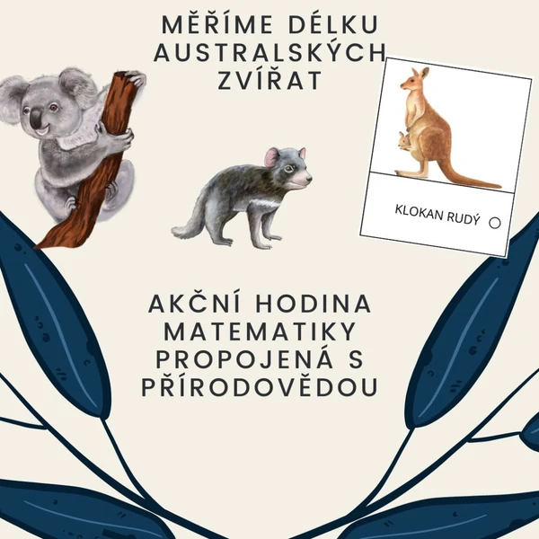 Měříme délku zvířat