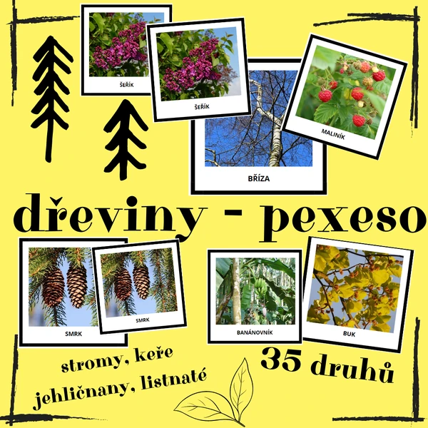 PEXESO: DŘEVINY (35 druhů, 70 ks pexesa)