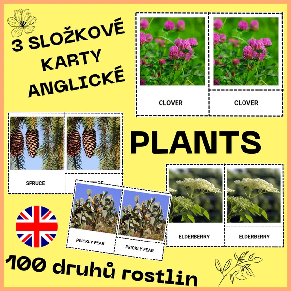 ANGLICKÉ TŘÍSLOŽKOVÉ KARTY - plants (rostliny)