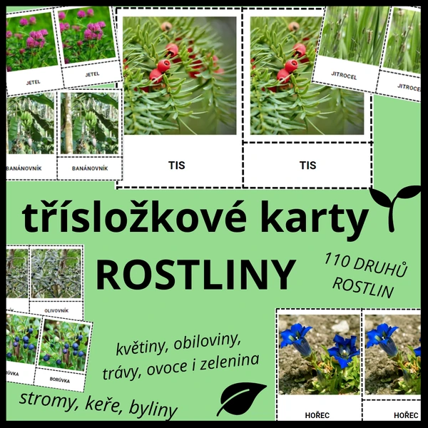 Rostliny - třísložkové karty (110 druhů, 110 třísložkových karet)