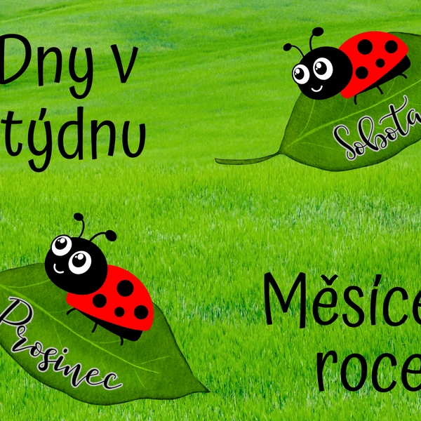 Dny v týdnu, měsíce v roce pro Berušky