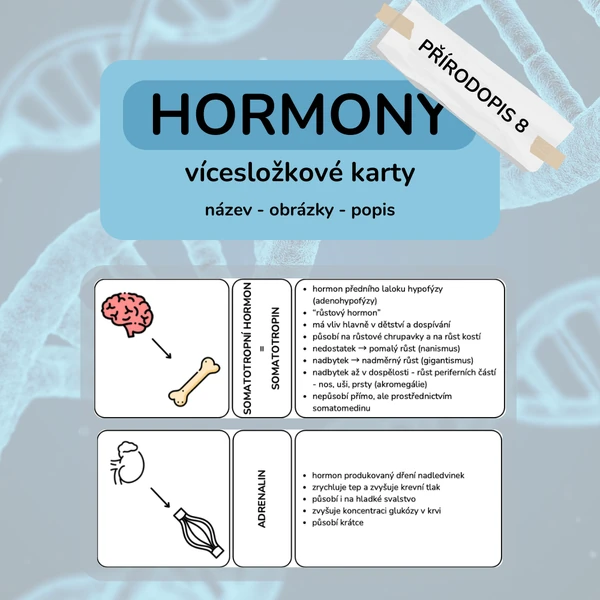 Hormony - vícesložkové karty