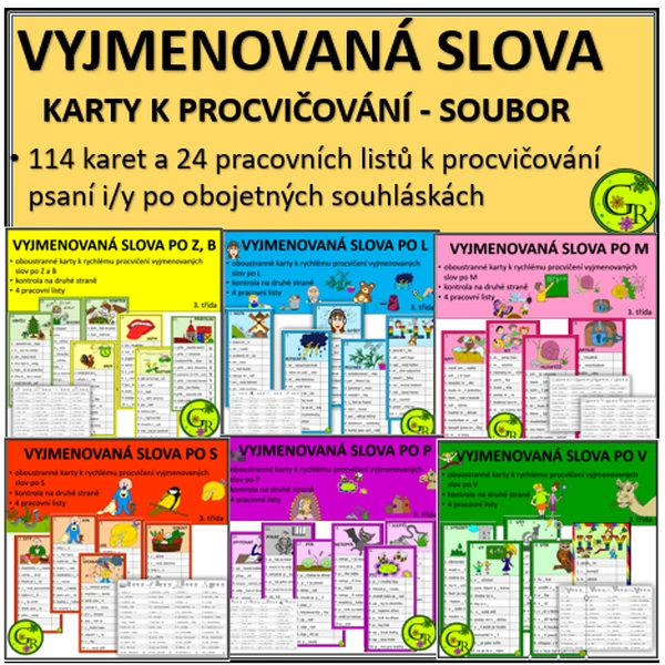 VYJMENOVANÁ SLOVA - KARTY K PROCVIČOVÁNÍ - SOUBOR
