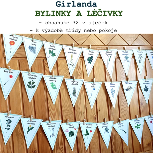 Girlanda - Bylinky, léčivky