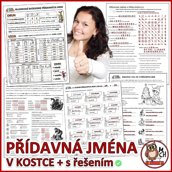 PŘÍDAVNÁ JMÉNA v kostce (PL s řešením)