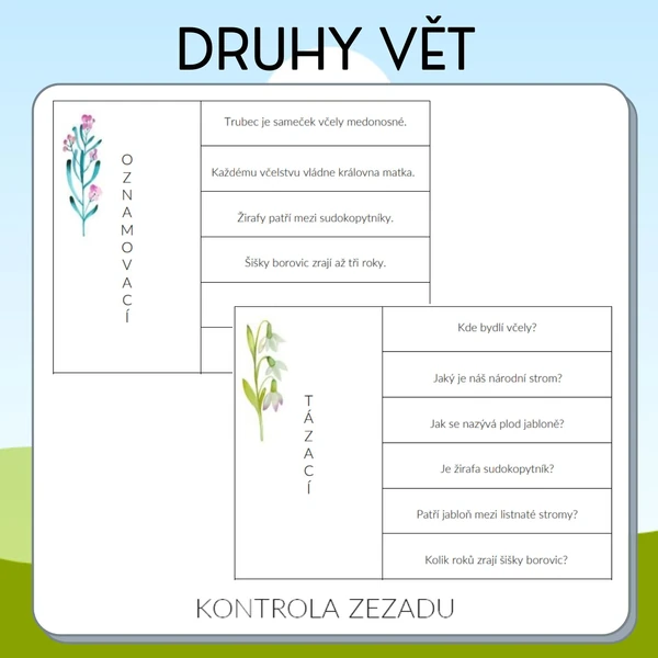 Druhy vět