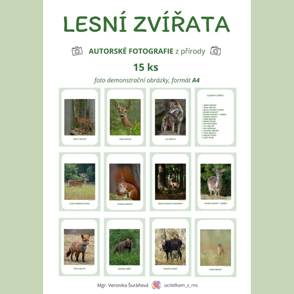 LESNÍ ZVÍŘATA - foto demonstrační obrázky (15 ks)