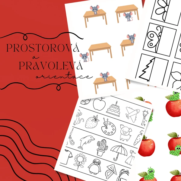 Prostorová a pravolevá orientace