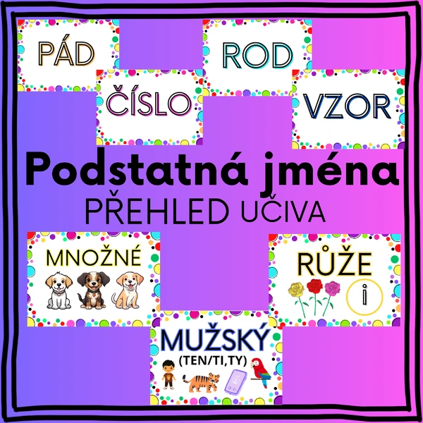 Podstatná jména - přehled učiva 