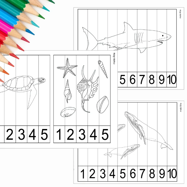 PUZZLE PROUŽKY - MOŘE A OCEÁNY