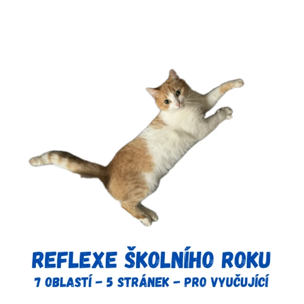 Reflexe školního roku pro vyučující