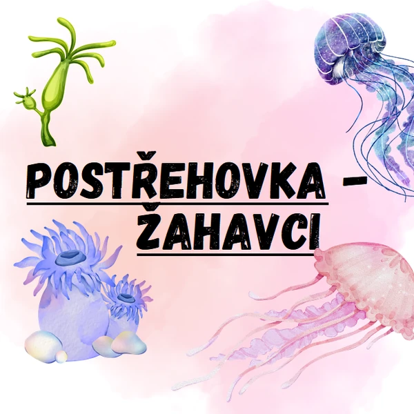 Žahavci - postřehovka