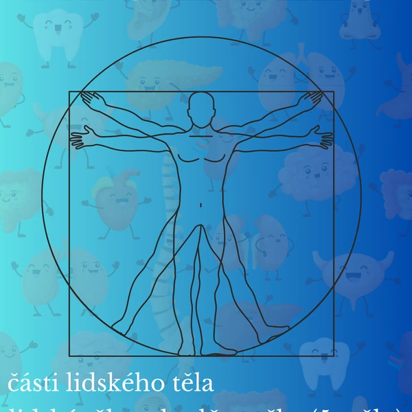 Lidské tělo MŠ