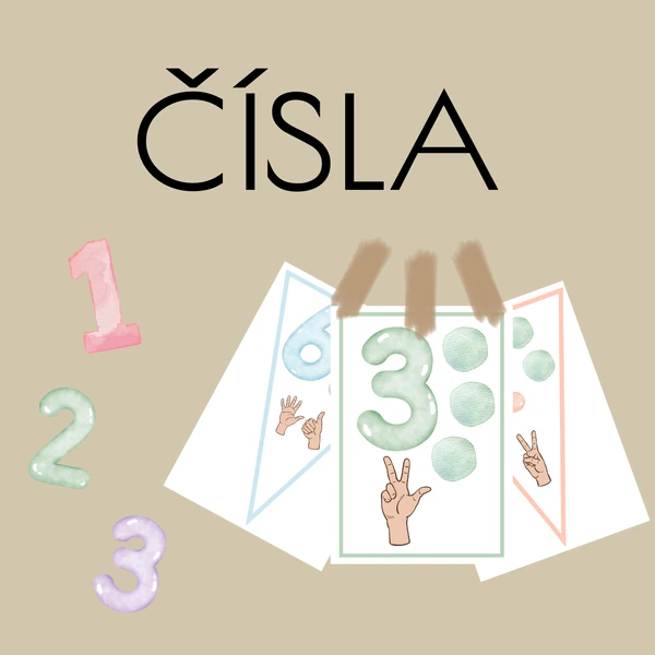 ČÍSLA