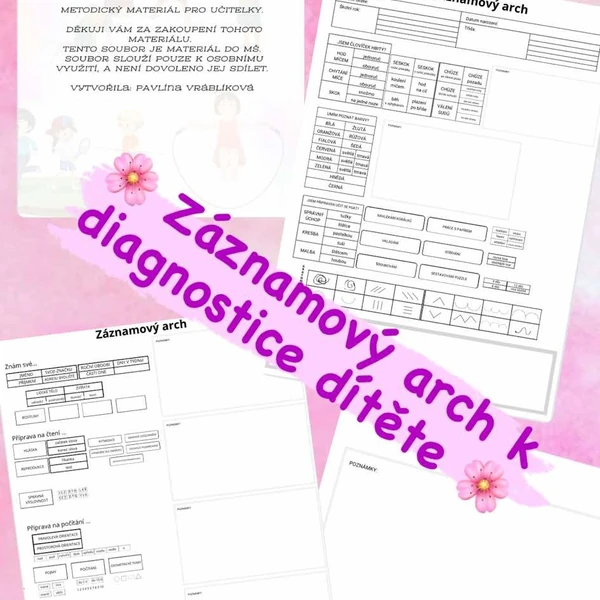 Záznamový arch k diagnostice dítěte